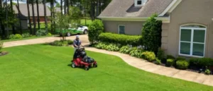 Mastering Your Myrtle Beach Lawn: Essential Care Tips